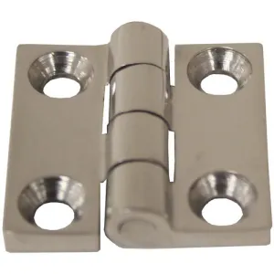 Cast 316 Stainless Steel Hinges