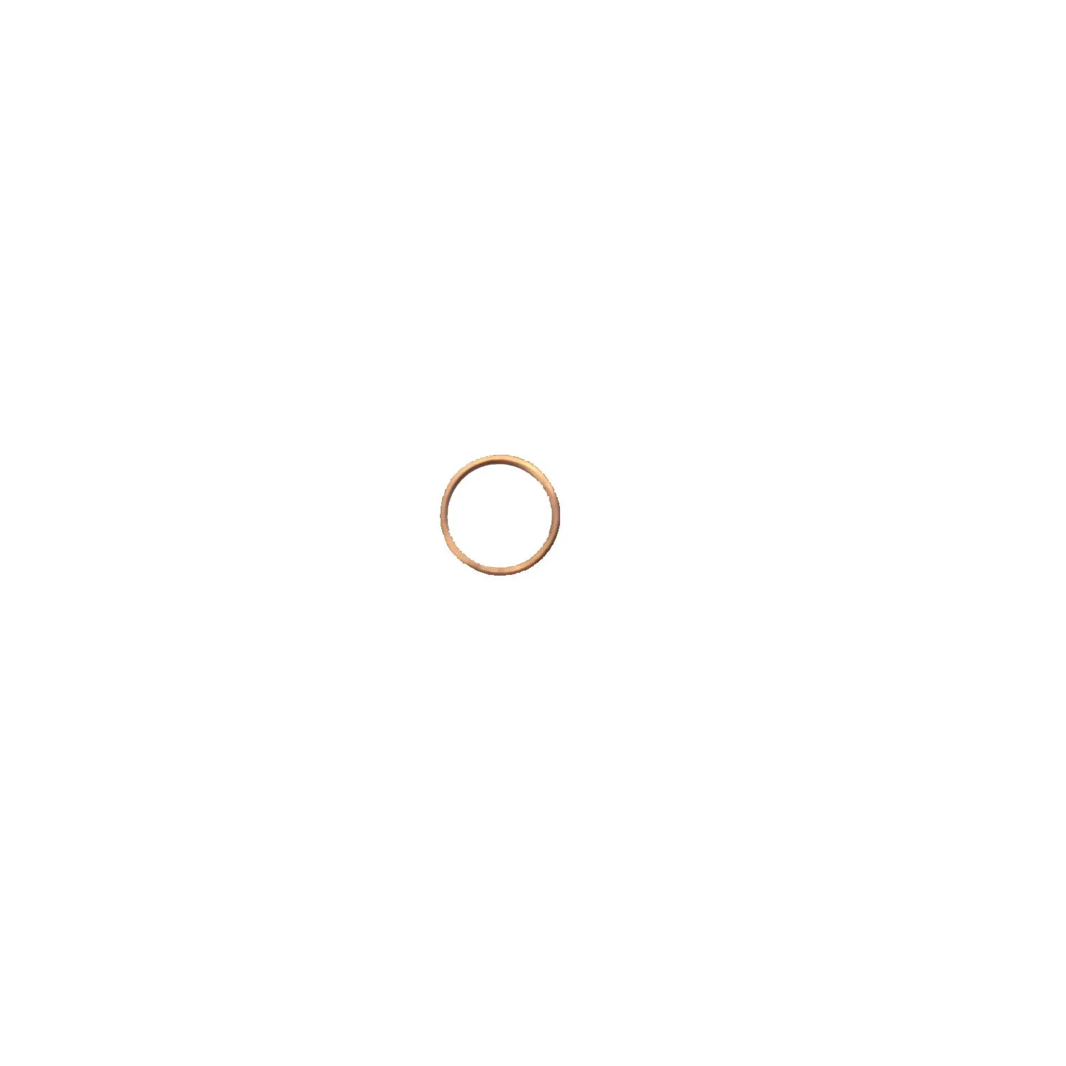 Copper Gasket