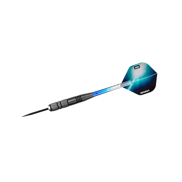 Datadart Pessant Dart Set