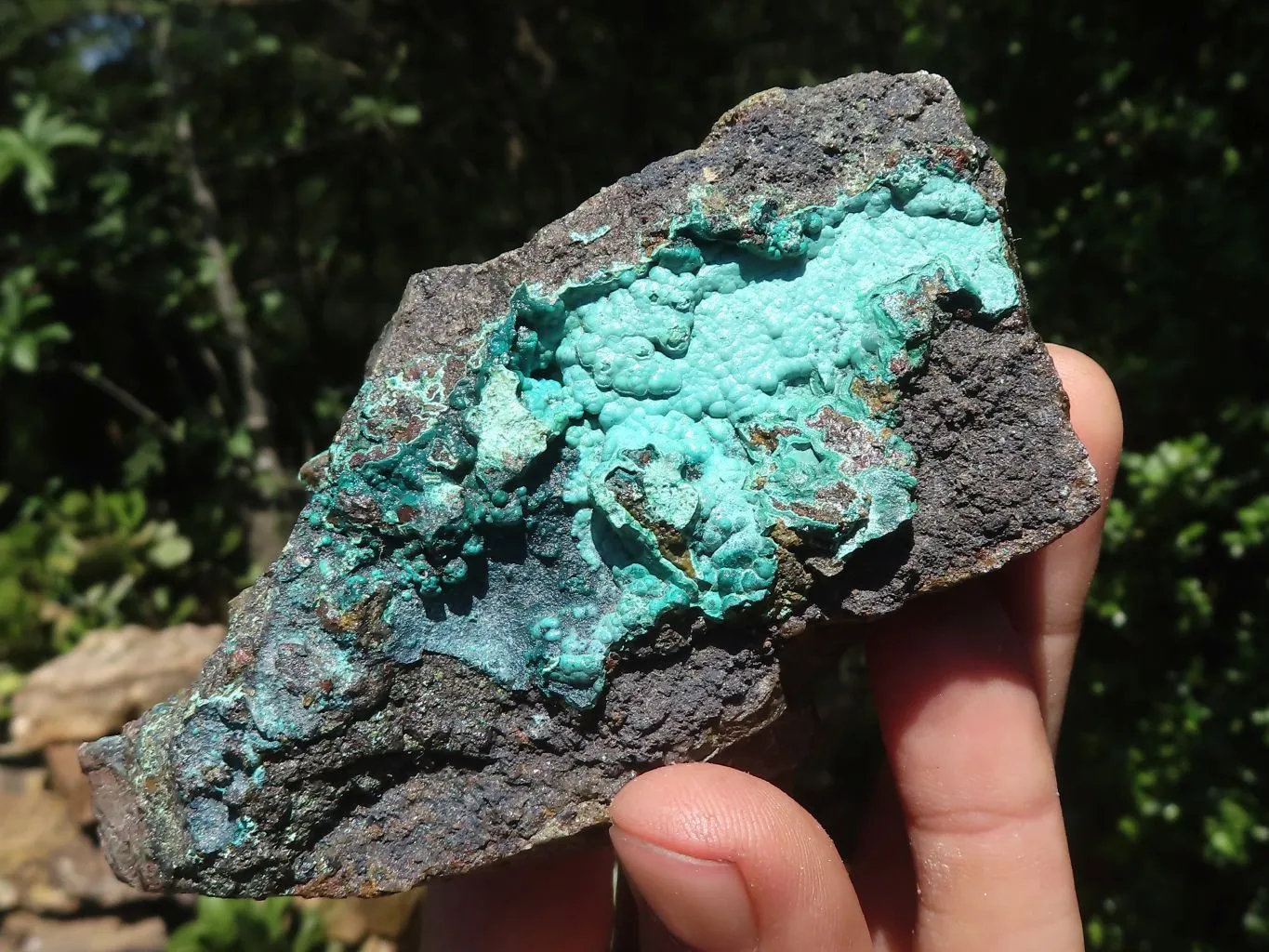 Natural Mixed Malachite & Chrysocolla Specimens x 14 From Congo