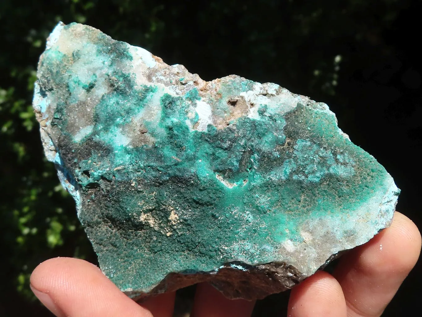 Natural Mixed Malachite & Chrysocolla Specimens x 14 From Congo