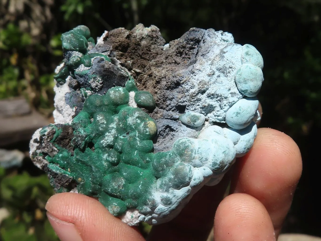 Natural Mixed Malachite & Chrysocolla Specimens x 14 From Congo