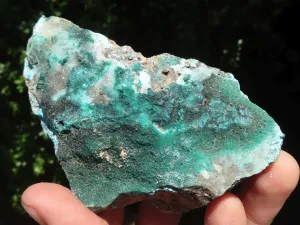 Natural Mixed Malachite & Chrysocolla Specimens x 14 From Congo