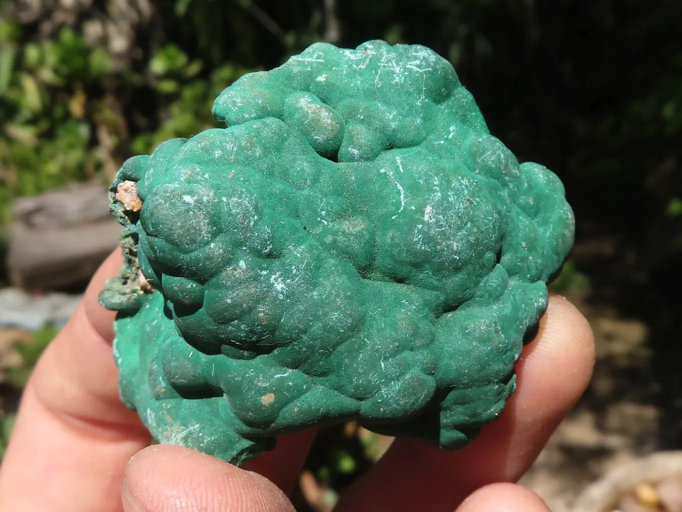 Natural Mixed Malachite & Chrysocolla Specimens x 14 From Congo