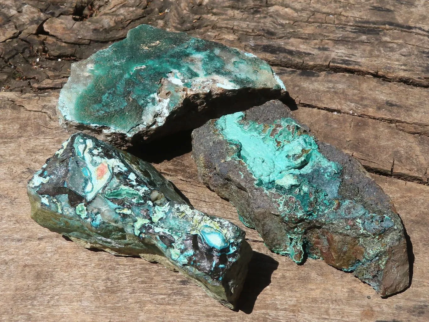 Natural Mixed Malachite & Chrysocolla Specimens x 14 From Congo