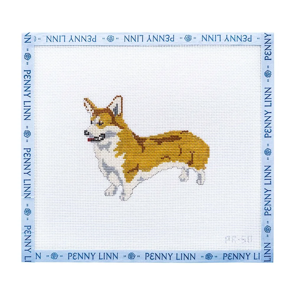 Pembroke Welsh Corgi